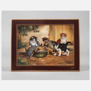 Bildplatte "Katzen mit Igel"