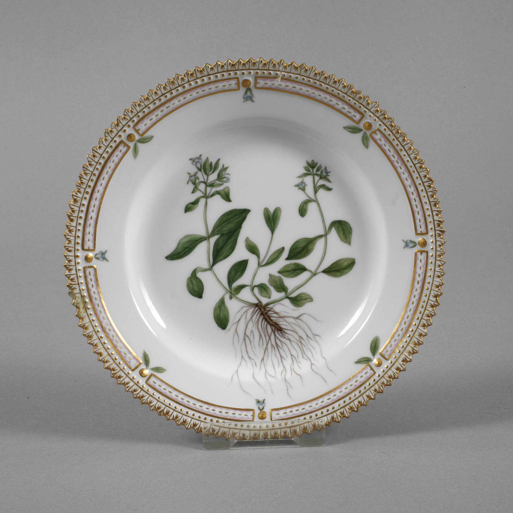 Kopenhagen Dessertteller "Flora Danica"