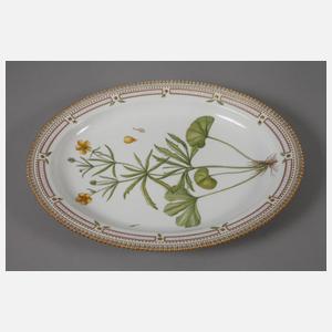 Kopenhagen große Platte "Flora Danica"