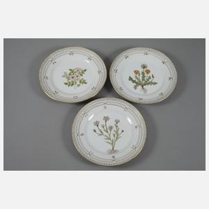 Kopenhagen neun Teller und Platte im Flora Danica-Stil