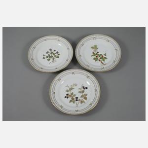 Kopenhagen neun Teller und Platte im Flora Danica-Stil