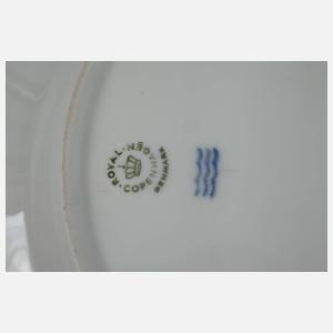 Kopenhagen neun Teller und Platte im Flora Danica-Stil