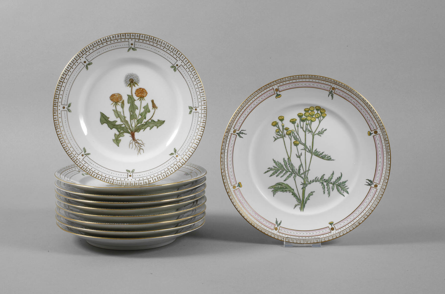 Kopenhagen neun Teller und Platte im Flora Danica-Stil