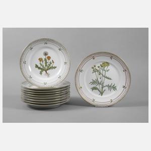 Kopenhagen neun Teller und Platte im Flora Danica-Stil