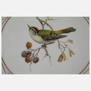 Meissen Zierteller "Vogelmalerei"