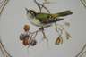 Meissen Zierteller "Vogelmalerei"