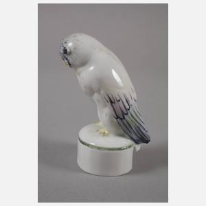 Metzler & Ortloff Ilmenau Schnee-Eule