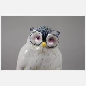 Metzler & Ortloff Ilmenau Schnee-Eule