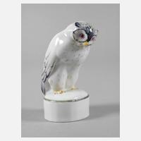 Metzler & Ortloff Ilmenau Schnee-Eule111