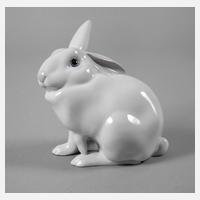 Metzler & Ortloff Ilmenau Hase111