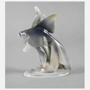 Metzler & Ortloff Schleierschwanz