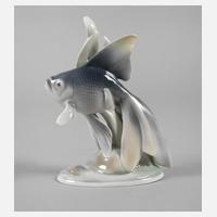 Metzler & Ortloff Schleierschwanz111