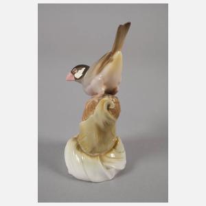 Nymphenburg "Reisfink"