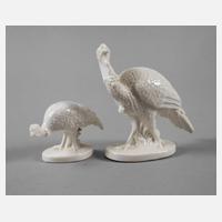 Nymphenburg Truthahn und Truthenne111