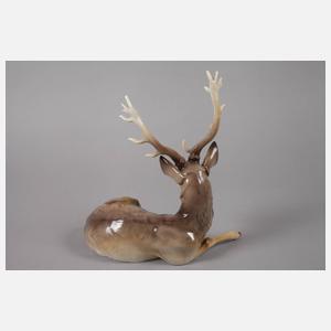 Nymphenburg "Hirsch, liegend"