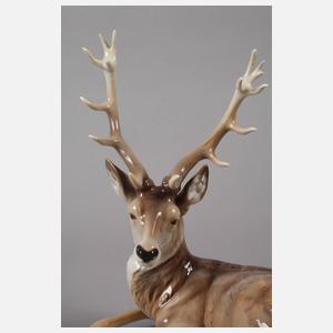 Nymphenburg "Hirsch, liegend"