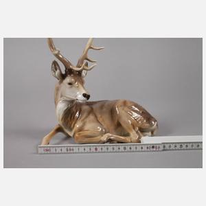 Nymphenburg "Hirsch, liegend"