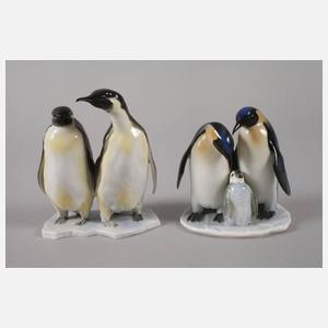 Oberfranken kleine Sammlung Pinguine