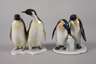 Oberfranken kleine Sammlung Pinguine
