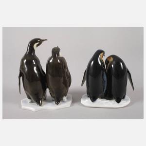 Oberfranken kleine Sammlung Pinguine