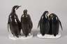 Oberfranken kleine Sammlung Pinguine
