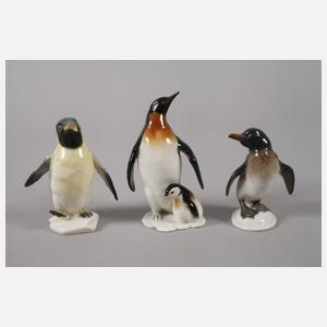 Oberfranken kleine Sammlung Pinguine