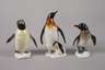 Oberfranken kleine Sammlung Pinguine