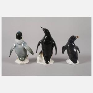 Oberfranken kleine Sammlung Pinguine