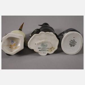 Oberfranken kleine Sammlung Pinguine