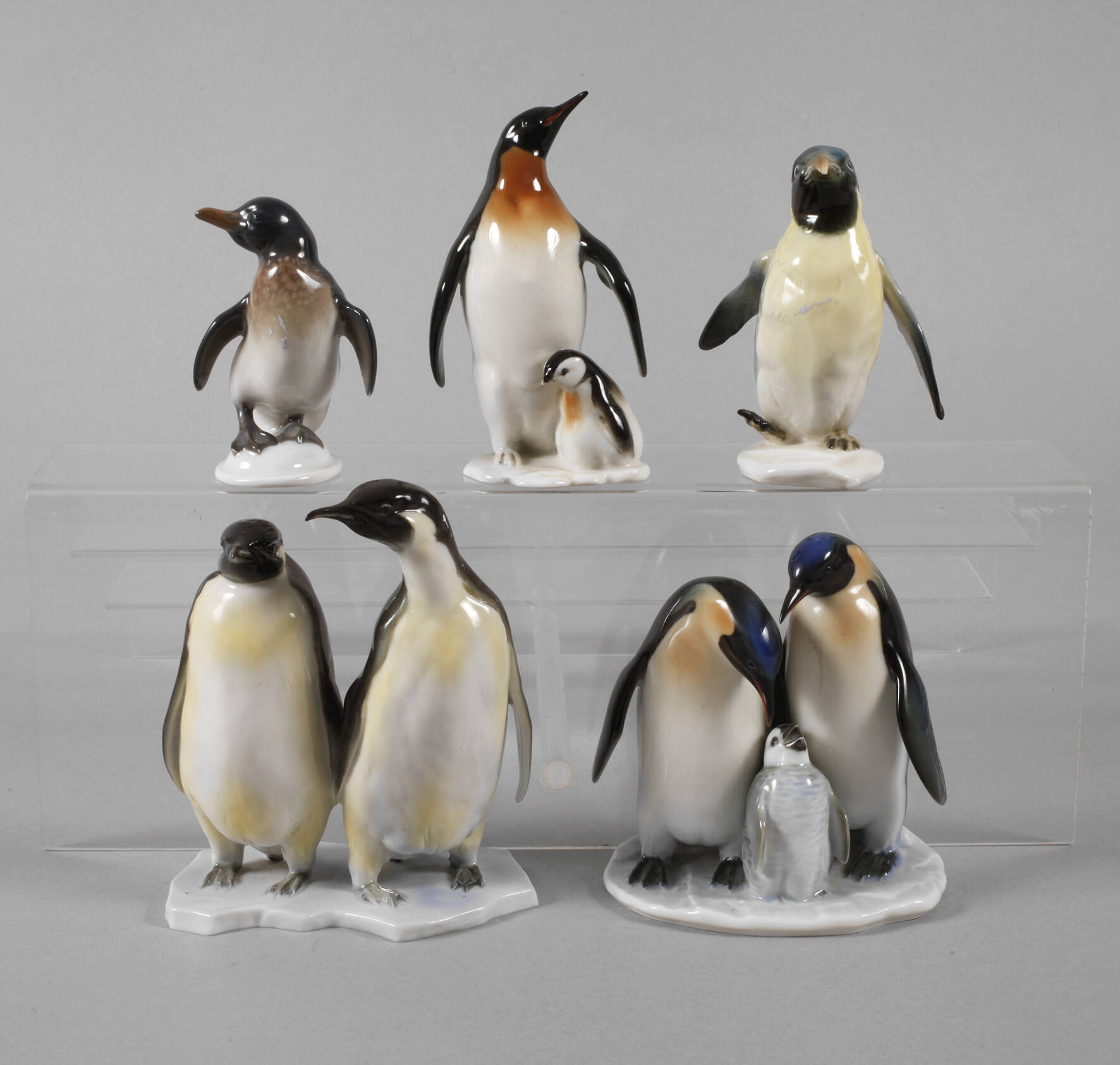 Oberfranken kleine Sammlung Pinguine