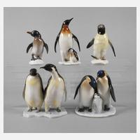 Oberfranken kleine Sammlung Pinguine111