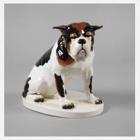 Passau "Bulldogge"111