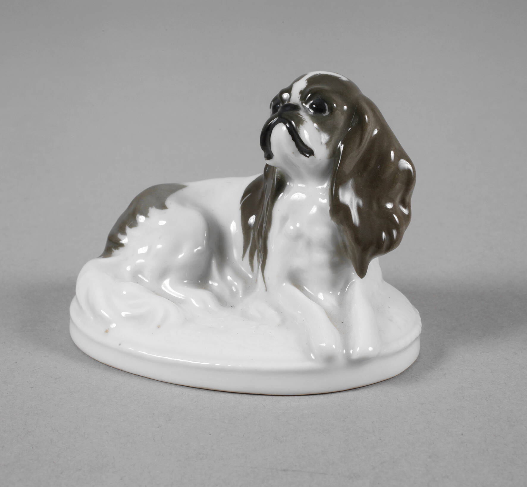 Rosenthal kleiner "King Charles-Hund"