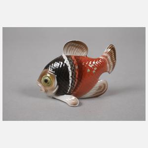 Rosenthal kleiner Fisch und Fischgruppe