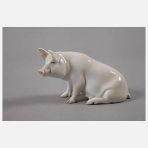 Rosenthal Schwein