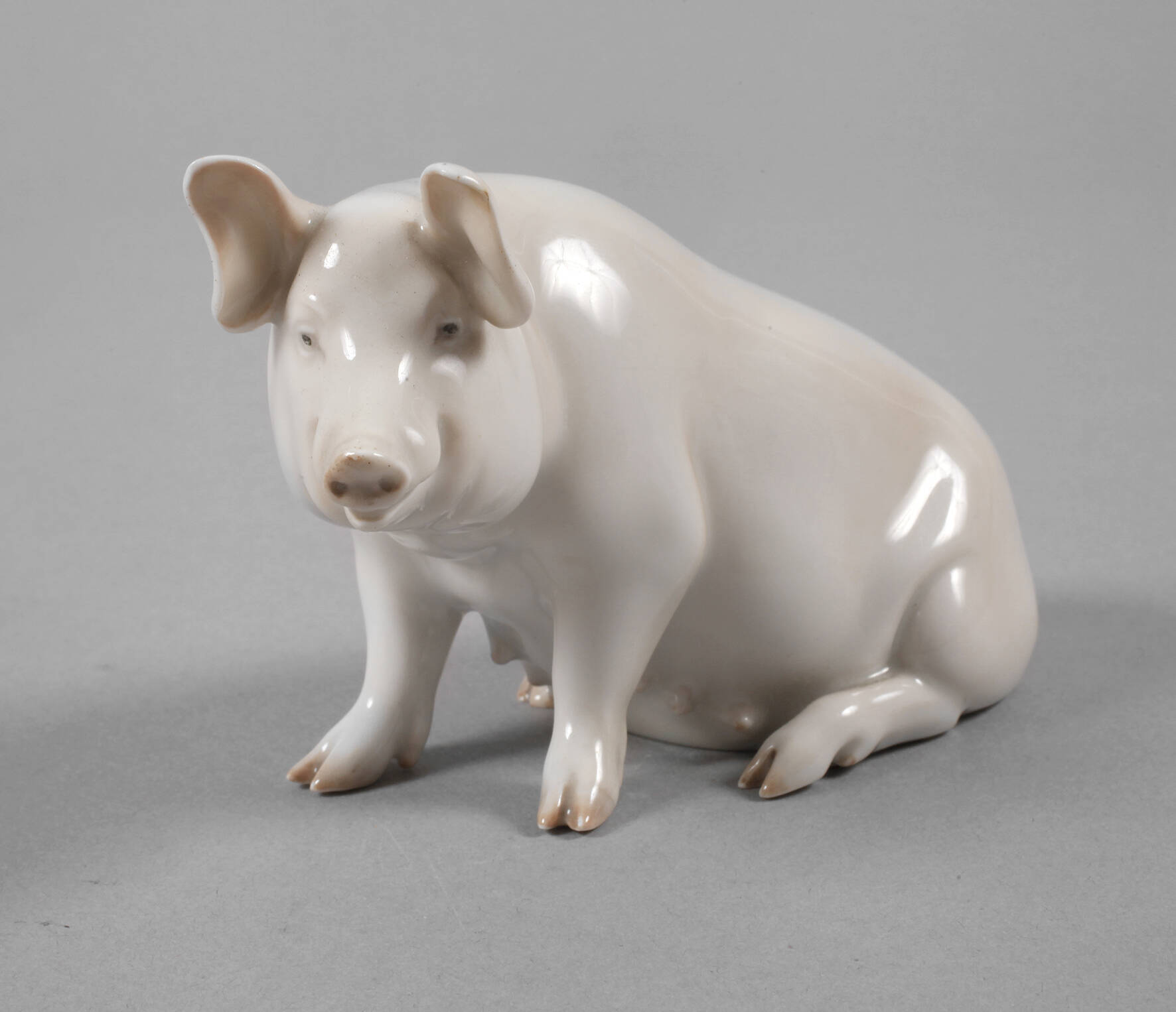 Rosenthal Schwein