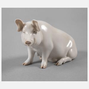 Rosenthal Schwein