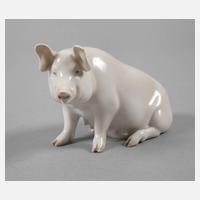 Rosenthal Schwein111