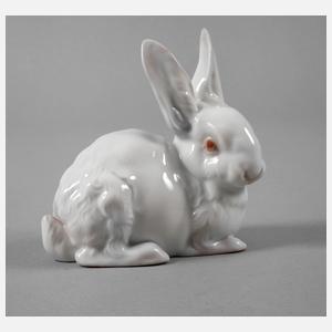 Rosenthal Hase