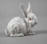 Rosenthal Hase