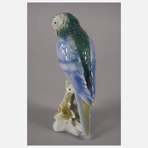 Thüringen zwei Gelbbrustaras