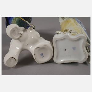 Thüringen zwei Gelbbrustaras