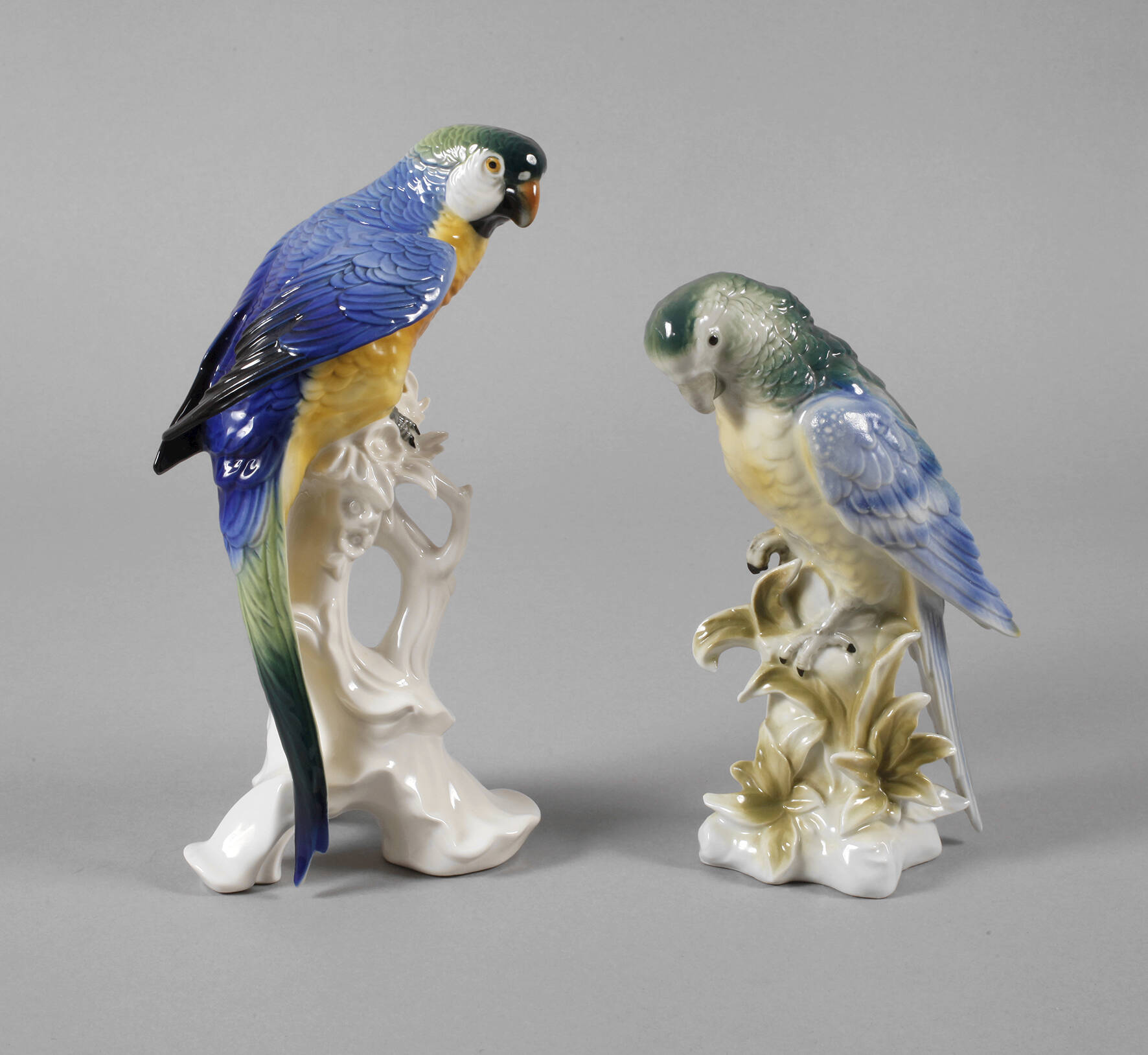 Thüringen zwei Gelbbrustaras