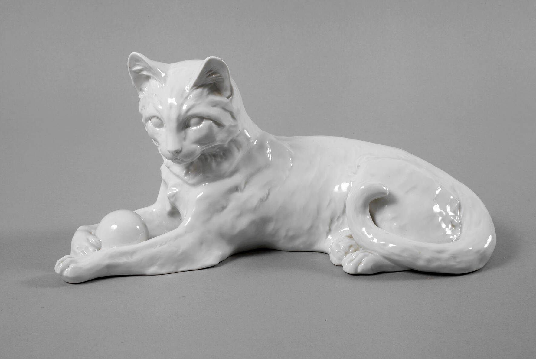 Thüringen Spielende Katze