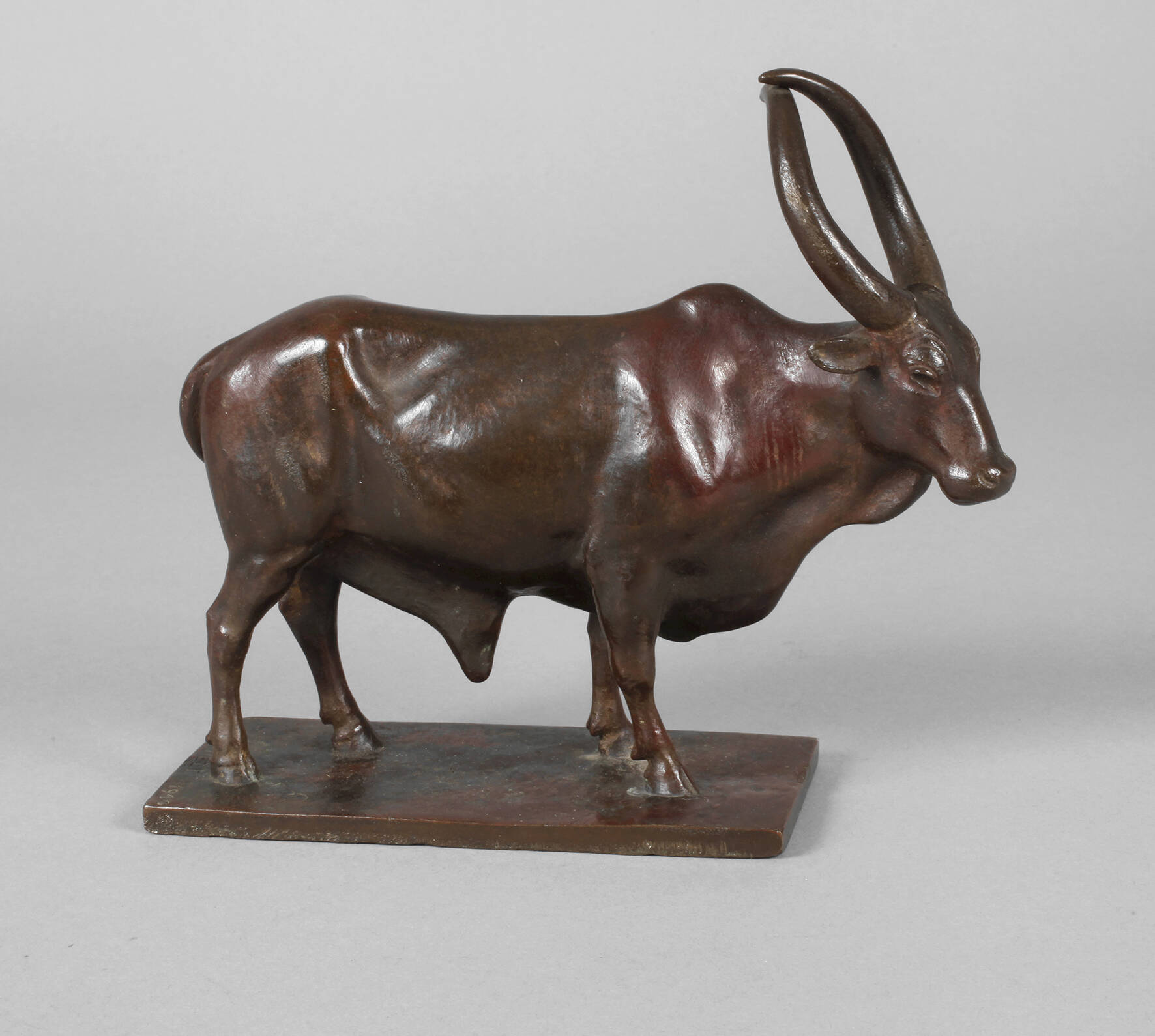 Alfred Thiele, Auerochse