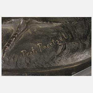 Professor Hermann Hugo Otto Poertzel, Fasanenpaar