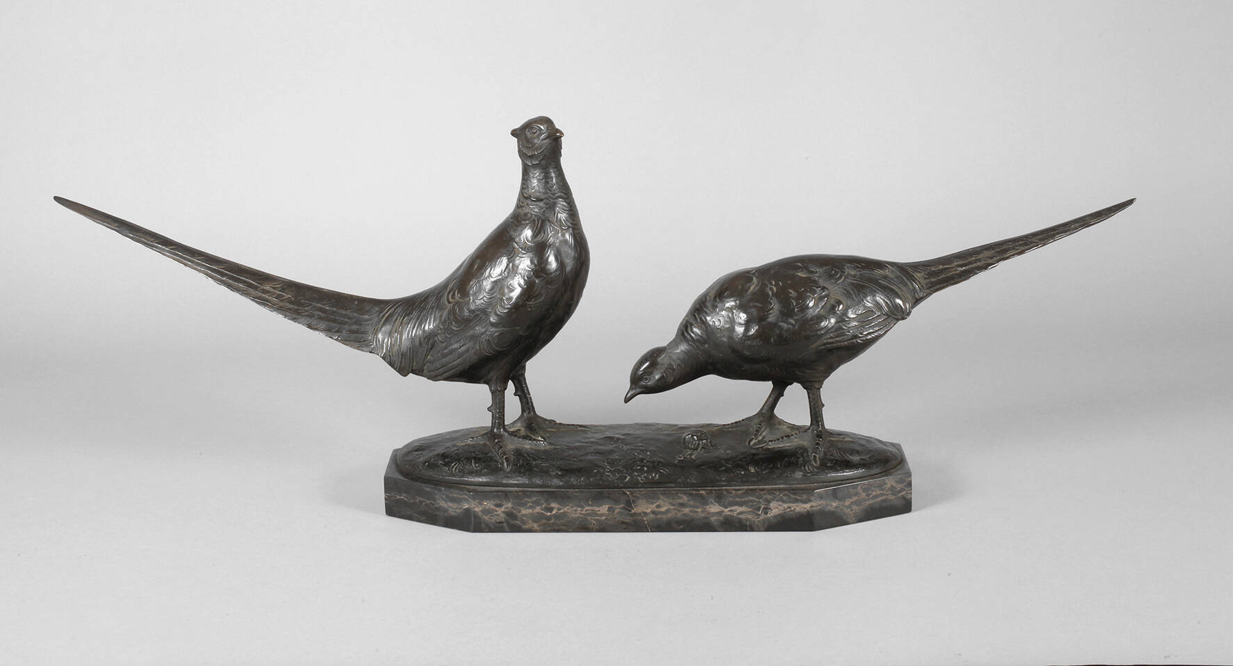 Professor Hermann Hugo Otto Poertzel, Fasanenpaar