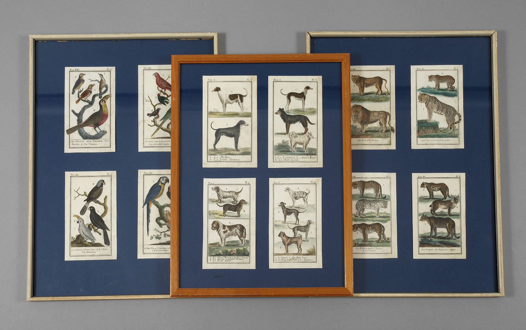 Konvolut Tierdarstellungen