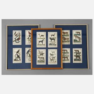 Konvolut Tierdarstellungen