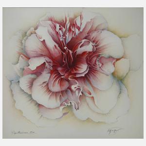 Wolfgang Fratzscher, "Papilionáceae"